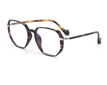 Eyeglasses Frames