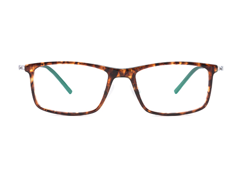 Eyeglasses Frames