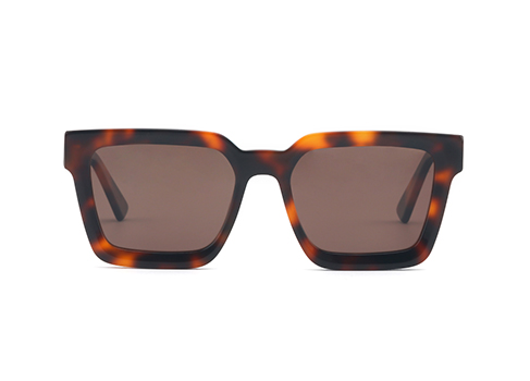 sunglasses polarized
